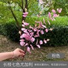 16-fork silk screen eucalyptus 7-branch eucalyptus engineering flower arrangement decorative silk flower home decoration money leaf