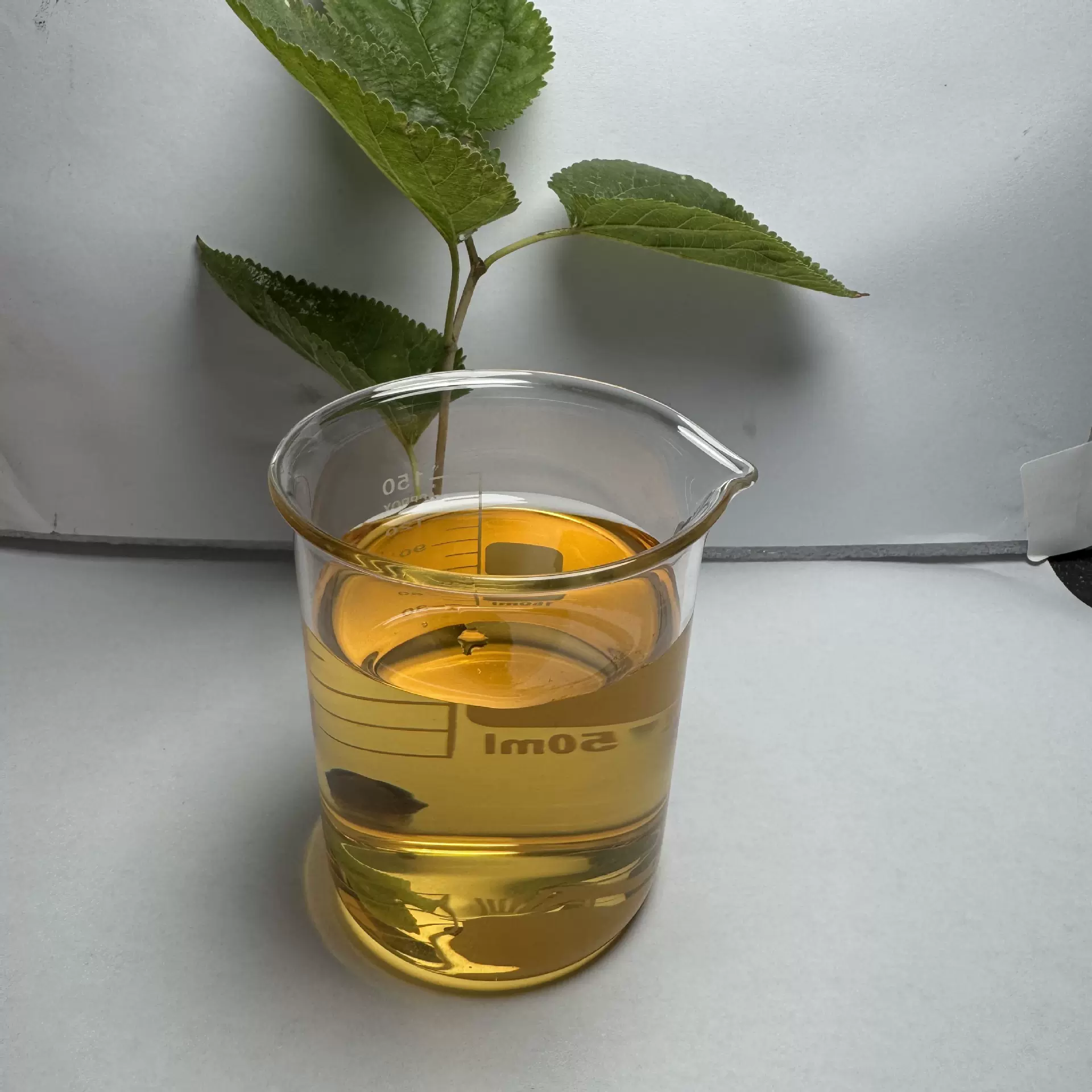 厂家销售铵盐分散剂水性颜料防沉剂高效分散速溶环保配方
