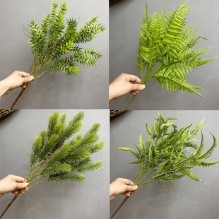 SlW沨˹Pβާ҃ȾG^ֲ