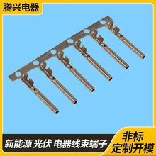 �S��ֱ�N����~�ܶ����p�T 1.0�A�ܶ���ע�ܹܠ����1.5�~�ܶ���