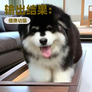 ���N����˹��Ȯ��Ȯ���w���۴��Ͱ���˹��ѩ��Ȯ����Ȯ���ﹷ����