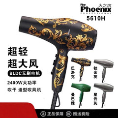 火の鳳5610hブラシレス電気ドライヤー理髪店専用ヘアスタイリスト大出力ヘアサロン大風力風筒