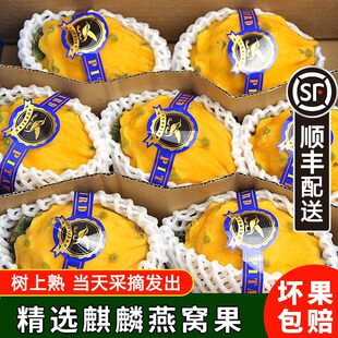 ����S���ش�� ���������C������������Ꭷ���rˮ���S������