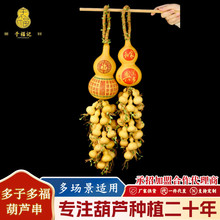 ���Ӷร��Ȼ���J���͏d���ȿ͏d�ҾӒ���S�����l�����b��