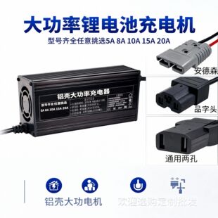 �X��늄�ƿ܇�F��Ԫ�늳س����48��V60V72V10AH15a�����ʿ��