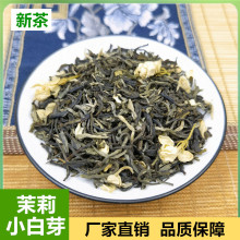 茉莉花茶新茶茉莉小白芽广西横县浓香型花茶厂家直批小白毫小毛尖