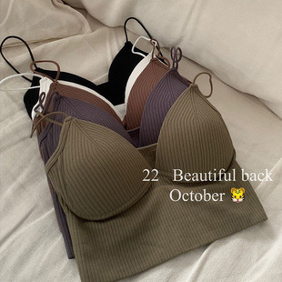 Spring and Summer new small sling beauty back vest one-piece fixed Cup wrapped chest anti-exposure outer wear base tube top