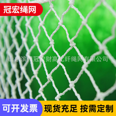 山东厂家大量供应优质高强丙纶阻燃安全网3x6m/1.5x6m高空防坠网|ru