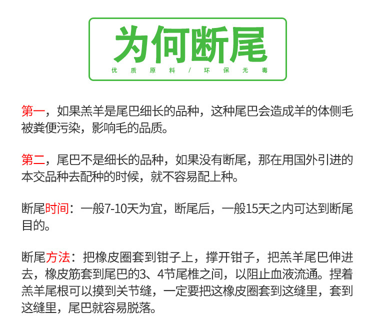 详情1_15.jpg