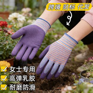 ���z�@ˇ����Ůʿ��������ĥ���������s���@���޼�ڱ����o����