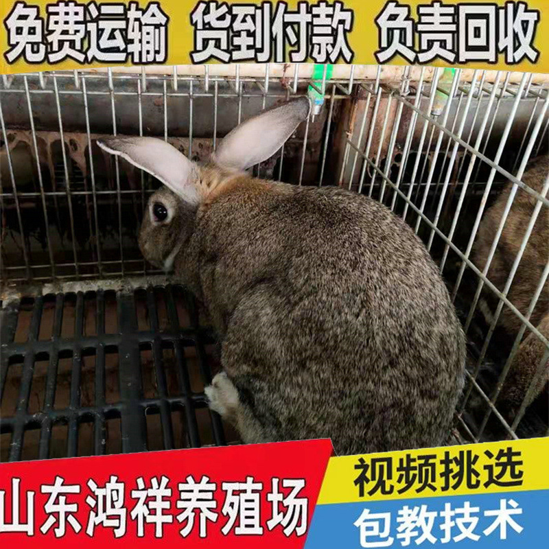 b_1260965202101232329459693.jp