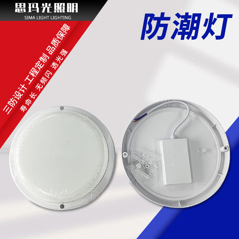 LED travel ceiling light for bathroom for bedroom for living room