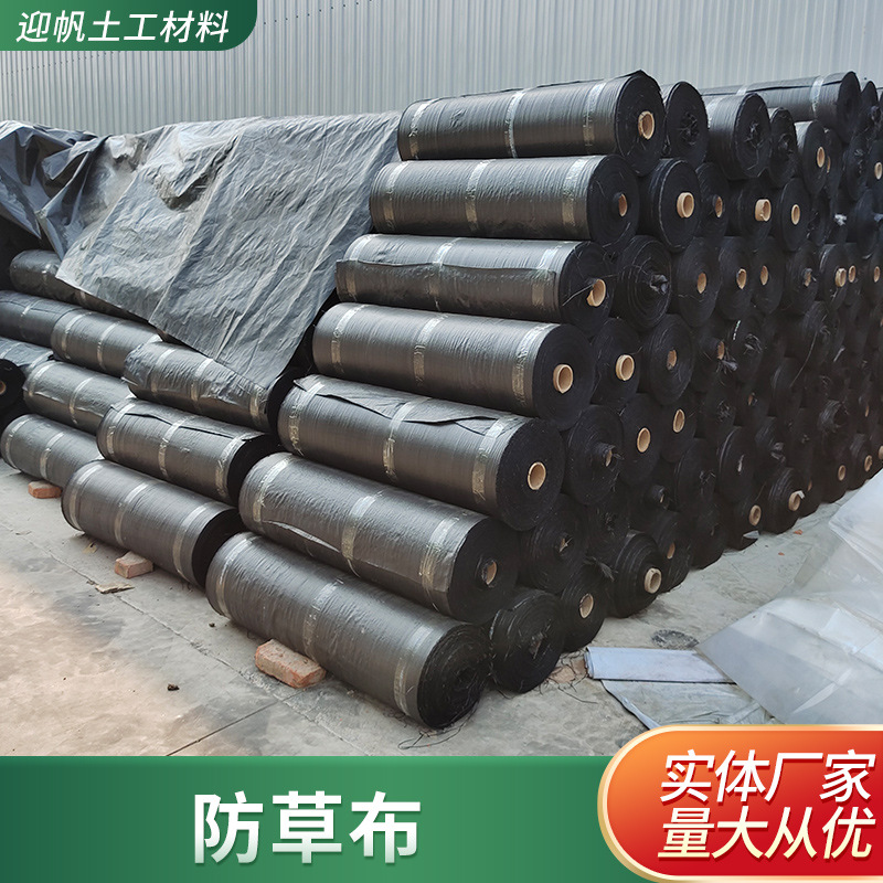 园林防草布园艺黑色地布大棚果园用除草透气防草布PP编织防草布