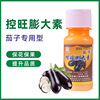 Eggplant Expansin Leavening agent Peng Retardant MET cucumber Pumpkin