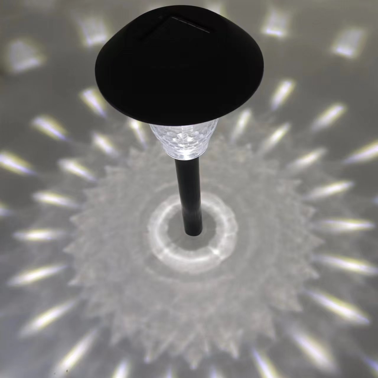 화이트 라이트]