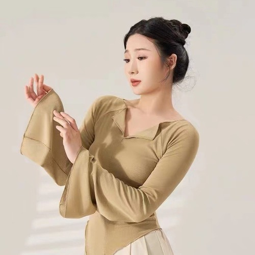 Dance clothing for adults, classical dance, ethnic dance clothing, gauze clothing, gauze performance clothing, Chinese dance practice and art test clothing