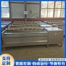 土豆毛辊清洗机 红薯毛刷清洗设备 食品级材质 佳圣特机械