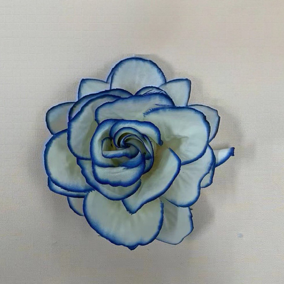 파란색 가장자리