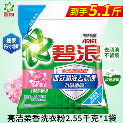 ビラン プロフェッショナル 汚れ落とし 洗濯洗剤 2.55kg お手頃価格 洗濯機 手洗い 油落とし 抗菌 衣類 ファミリーパック 送料無料