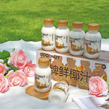 逆牌鲜椰汁原京时生榨鲜椰奶饮料246g*10瓶植物蛋白饮品牌直发