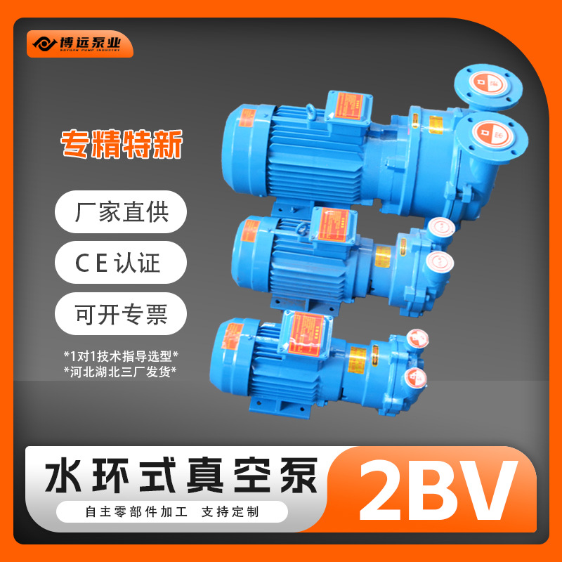博远定制2BV水环真空泵铸铁不锈钢316水循环气体传输泵工业防爆