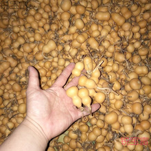 ���J��ȻС���J�]��覴��������Π��������]�п��Ԕ[��Ұ�������F