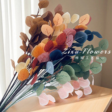 �����O���~����Gֲ���~�����l��c��Y���bzӰ����ɭϵ����