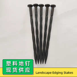 景观草坪边缘桩果园园艺黑色塑料地钉户外帐篷固定器草石隔钉子