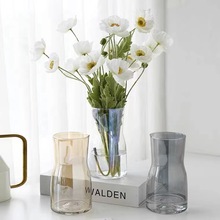 北欧幻彩玻璃花瓶简约透明水养百合玫瑰花装饰小花器插花花瓶摆件