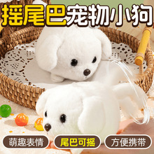 �����uβ��С�׹�ë�q������ż��ͯë�q��ߒ���Y��ɐے���Ʒ