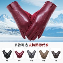 �r��Ƥ������AB��Ůʿ������ů�¿����Q���N�|�����l����