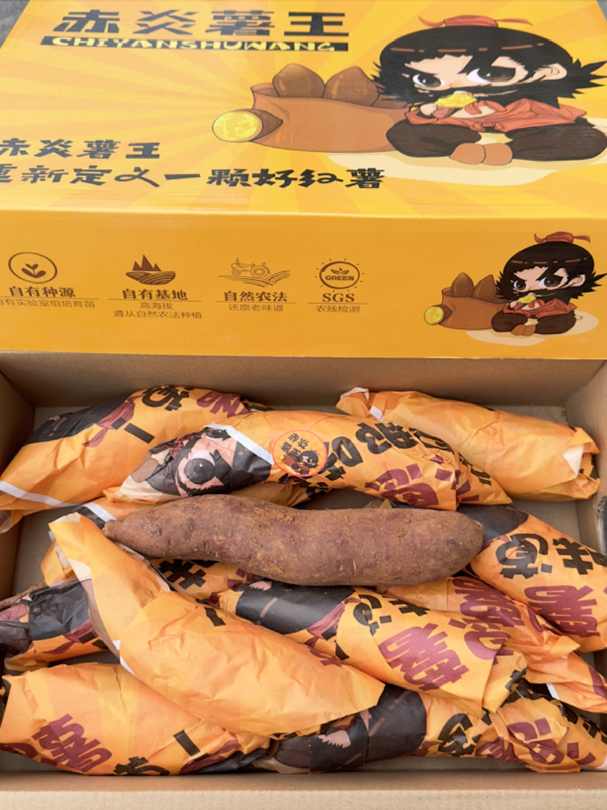 赤炎薯王黄心蜜薯5斤礼盒装 乐必思蜀食用红薯山芋烤地瓜番薯包邮