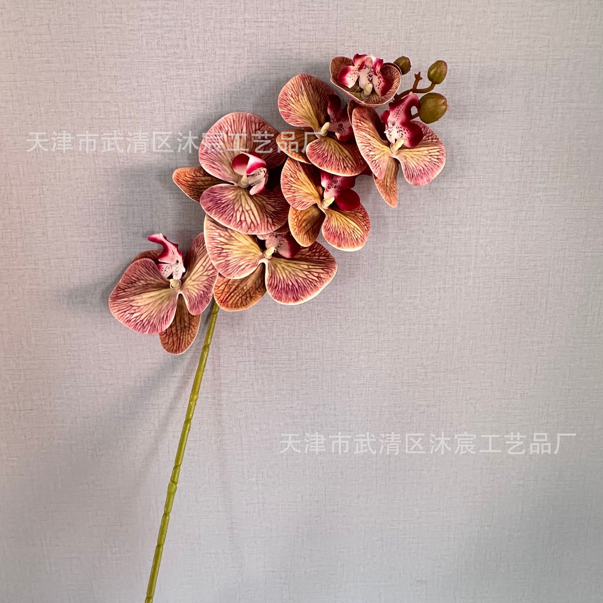 3D 7-cabeza Phalaenopsis mano-sensación de película Phalaenopsis venta al por mayor boda hogar decoración floral tiro flor material