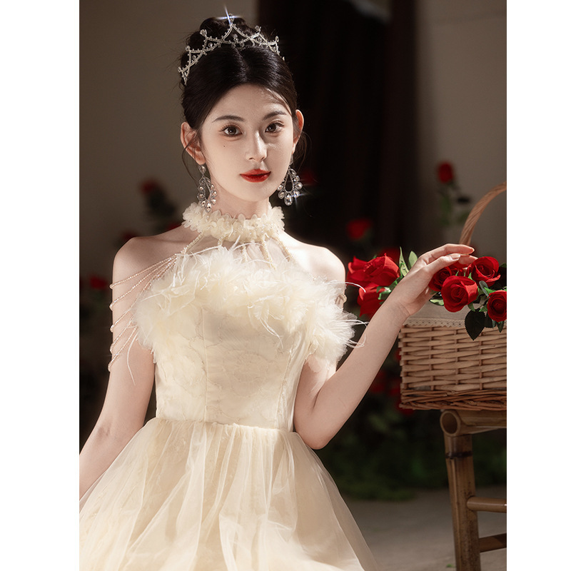 Elegant Champagne Colored Evening Gown New Style Long Dress For Women Suitable For Engagement Understated Luxury Ethereal Beauty_ecoleips.com