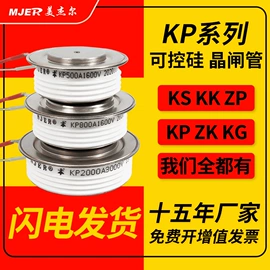 普通晶闸管;整流二极管;直流继电器