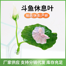 ���~��Ϣ�~����~�a�Ѻ��~������~˯�X���~���쾰�b��~��Ϣ�~