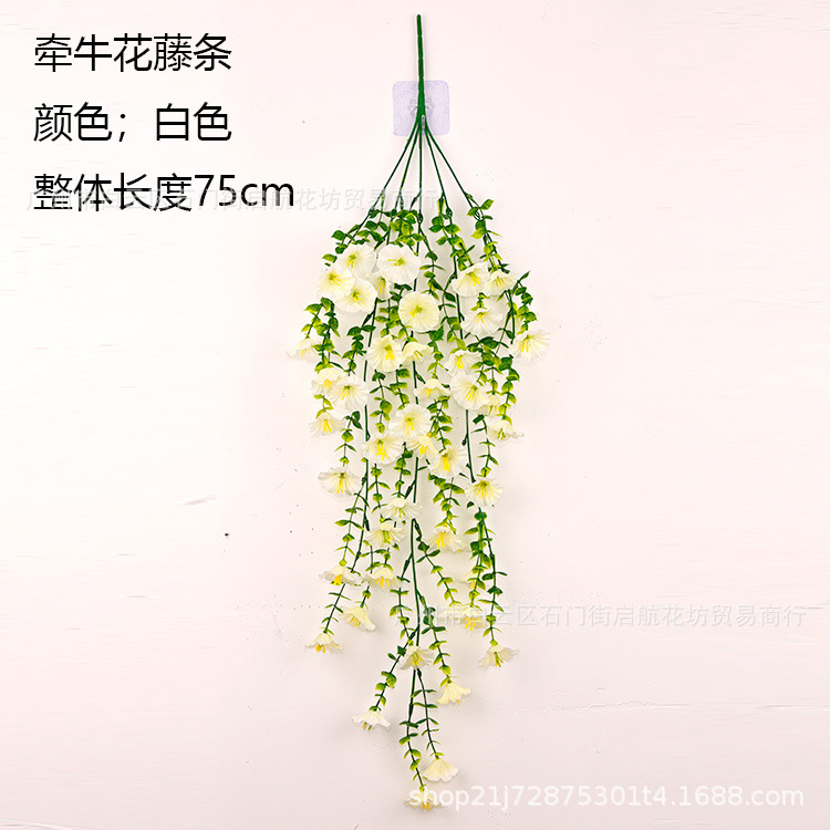 [화이트 + 나팔꽃 등나무]