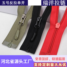5̖�����������b���������������_�h����q�����o�������[���