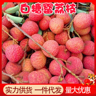���ڰ�������֦5���������r����ˮ��10���l���]3��V�|������֦��