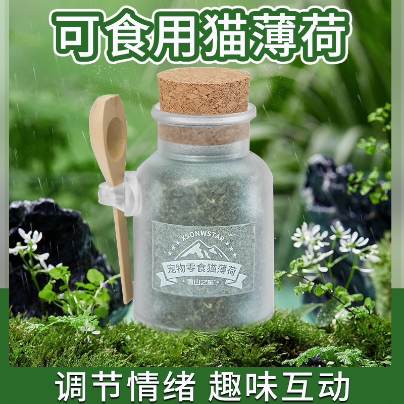 Catnip Cat Snack Powder Edible Cat Grass Potted Hair Removal Kitten Hair Ball to Remove Bad Breath and Amuse the Cat