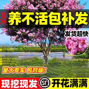 ��ޱ��������;G���L��������ͥԺ�����_�����Ϙ��ļ����ռt�e��