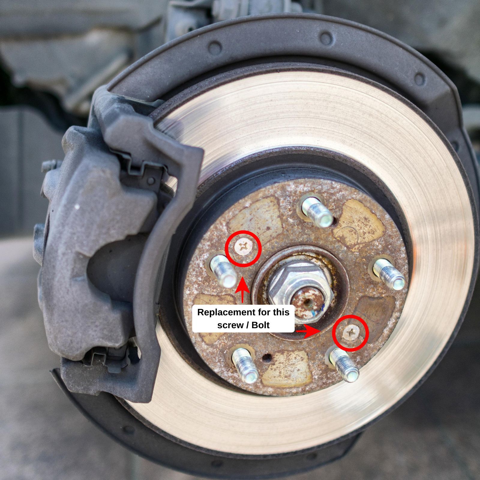 LS06-9-disc brake rotor screws