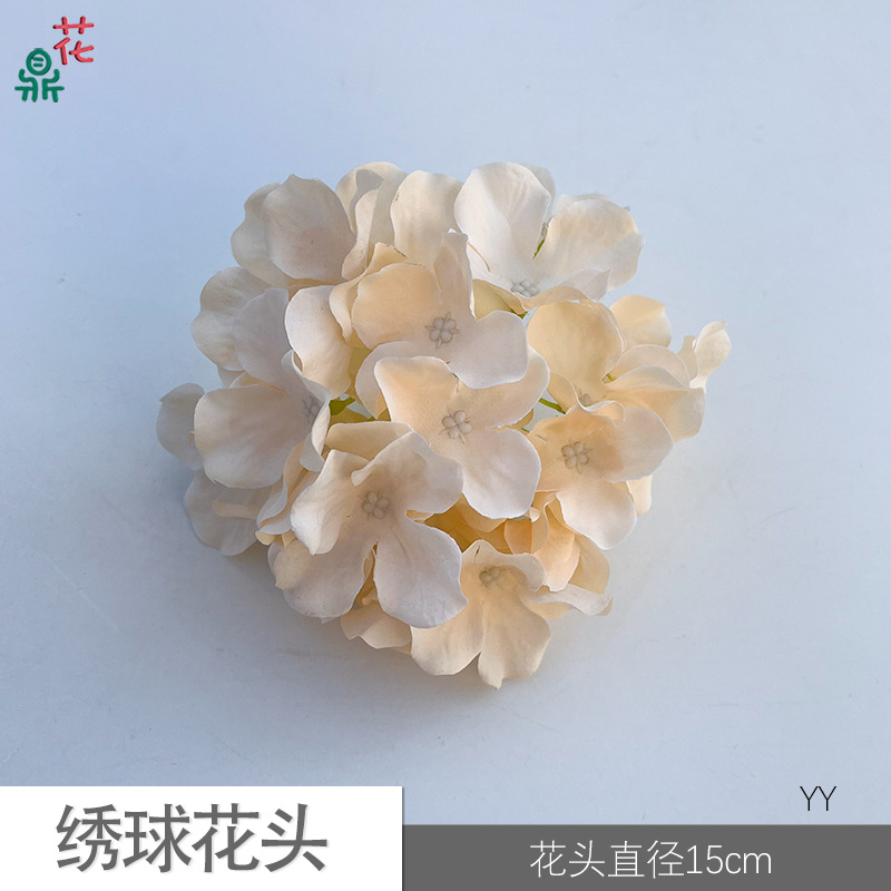 83 수국 머리 YY 샴페인