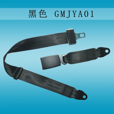 Two-point car seat belt sightseeing car seat safety belt bus bus universal simple seat belt 3c (Car seat belt) - black