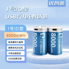 跨境D型1号可充电电池USB充电锂电池1.5v手电筒燃气灶热水器电池