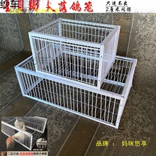 ����\����ֻ�M�������ӻ\����ץ���\����\ȫ�Ԅ�������