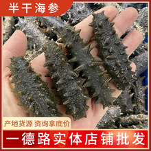 大连半干海参辽参拉缸盐30-40-50-80盐渍参