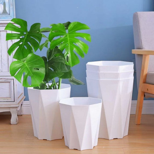 ��֬�������ϸ��FҬ�Ӵ�̖�Ӻ��п׻��������B�G�}���бP