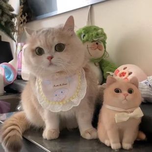Դ�^���S���R�d��ͨӡ������؈���������̩�Ϲ�����ˮ�팙����Ʒ