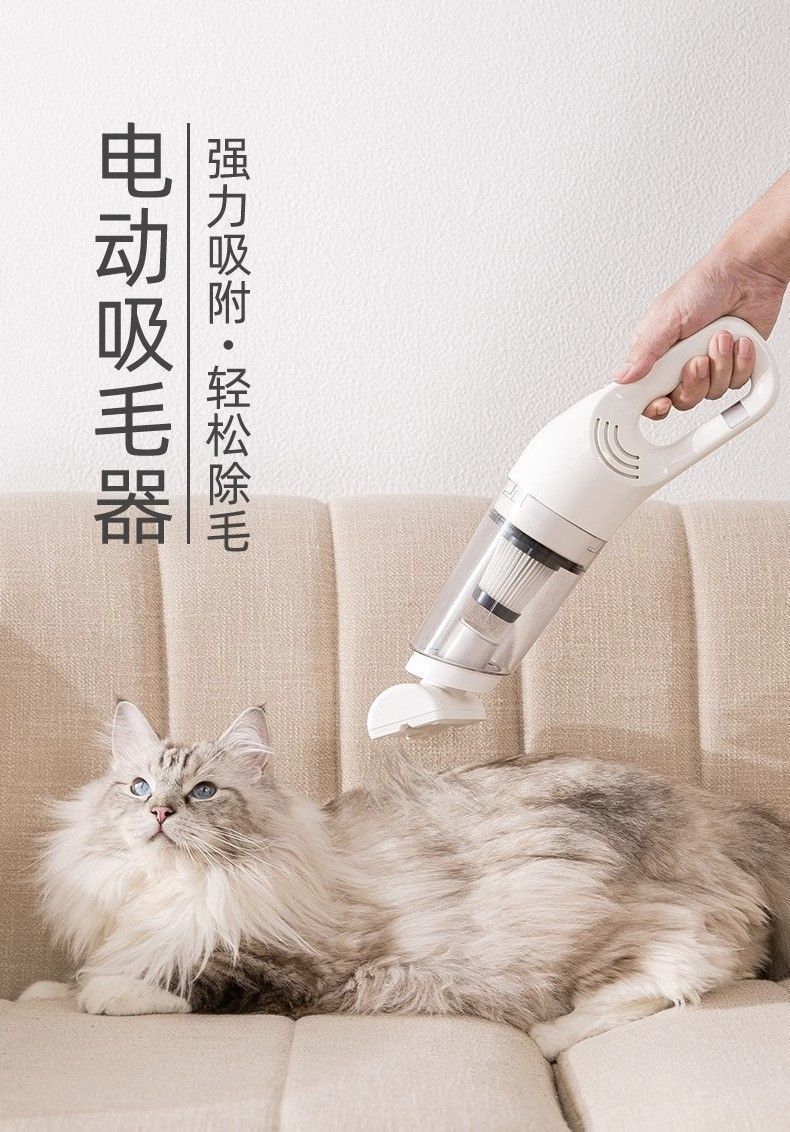 2f3aa76f-5829-4bb8-aa39-89ca4f8b1253.jpe